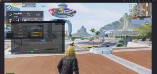pubgm-dd-esp1.jpg pubgm-dd-esp1.jpg